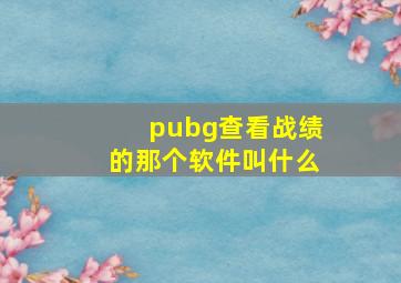 pubg查看战绩的那个软件叫什么