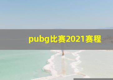 pubg比赛2021赛程