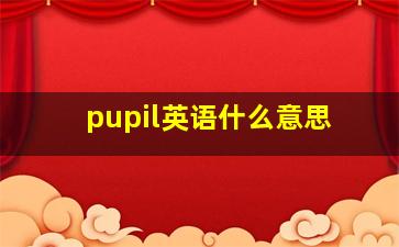 pupil英语什么意思