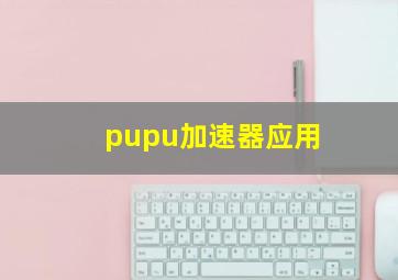 pupu加速器应用