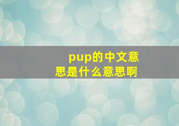 pup的中文意思是什么意思啊