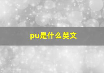 pu是什么英文