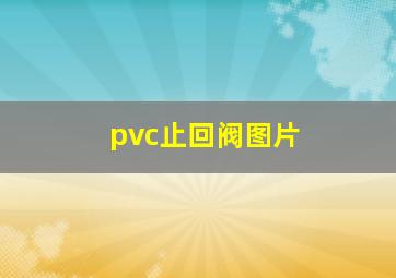 pvc止回阀图片