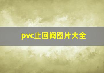 pvc止回阀图片大全