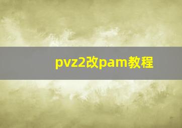 pvz2改pam教程