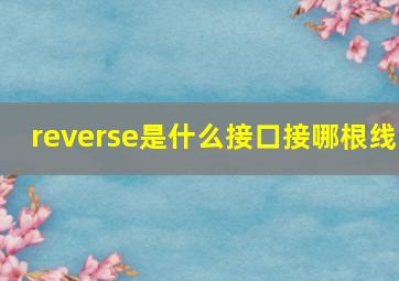 reverse是什么接口接哪根线