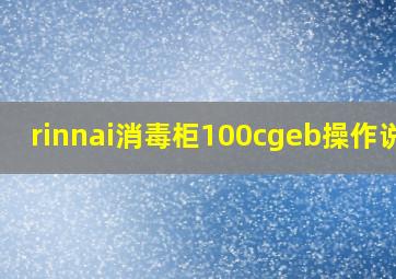 rinnai消毒柜100cgeb操作说明