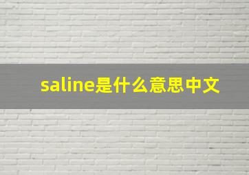 saline是什么意思中文