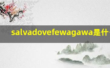 salvadovefewagawa是什么品牌