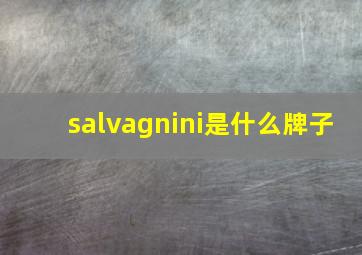 salvagnini是什么牌子