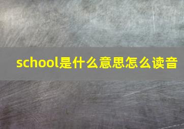 school是什么意思怎么读音