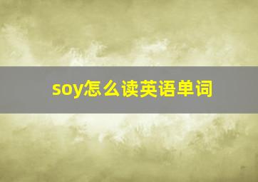 soy怎么读英语单词