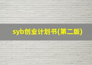 syb创业计划书(第二版)