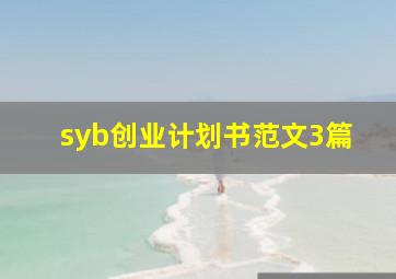 syb创业计划书范文3篇