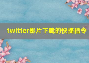 twitter影片下载的快捷指令