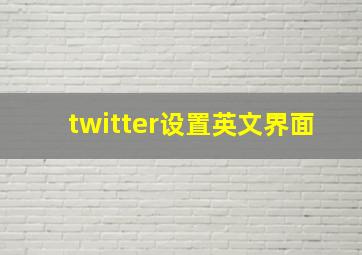 twitter设置英文界面