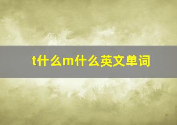 t什么m什么英文单词