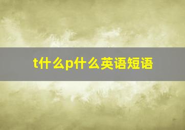 t什么p什么英语短语