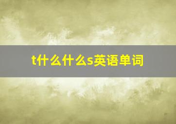 t什么什么s英语单词