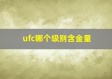 ufc哪个级别含金量