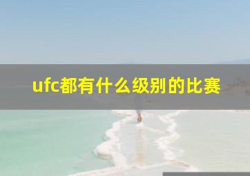 ufc都有什么级别的比赛