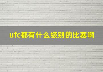 ufc都有什么级别的比赛啊