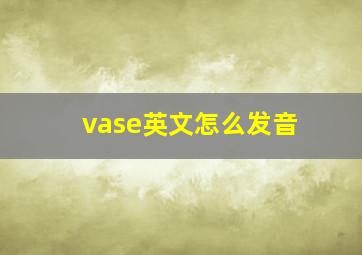 vase英文怎么发音