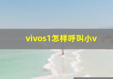 vivos1怎样呼叫小v