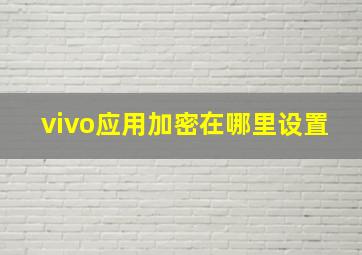 vivo应用加密在哪里设置