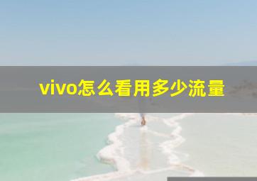 vivo怎么看用多少流量