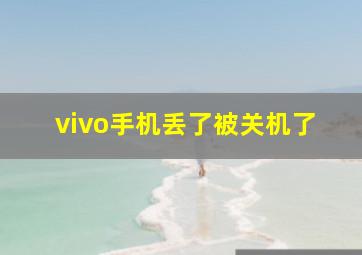 vivo手机丢了被关机了