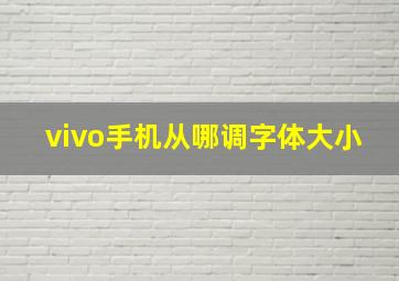 vivo手机从哪调字体大小