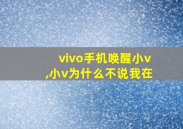 vivo手机唤醒小v,小v为什么不说我在