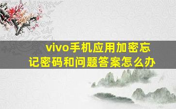 vivo手机应用加密忘记密码和问题答案怎么办