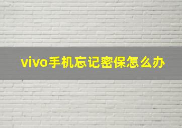 vivo手机忘记密保怎么办