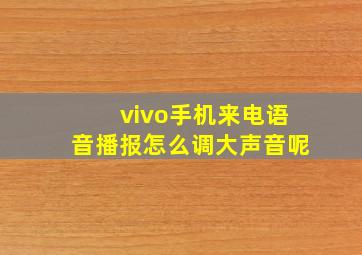 vivo手机来电语音播报怎么调大声音呢