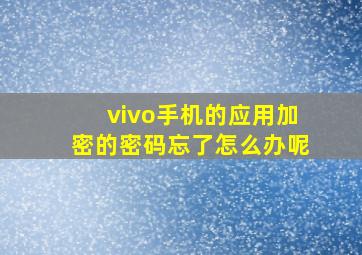 vivo手机的应用加密的密码忘了怎么办呢