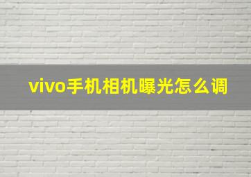 vivo手机相机曝光怎么调