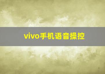 vivo手机语音操控