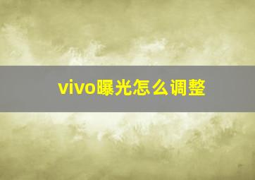 vivo曝光怎么调整