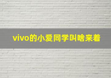 vivo的小爱同学叫啥来着