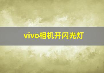 vivo相机开闪光灯