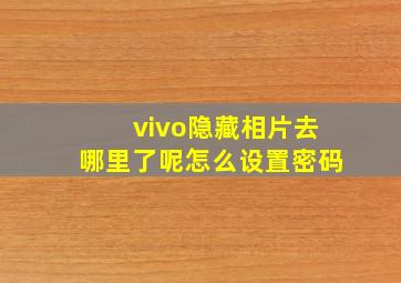 vivo隐藏相片去哪里了呢怎么设置密码