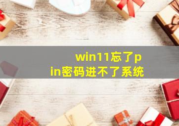 win11忘了pin密码进不了系统