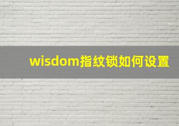 wisdom指纹锁如何设置