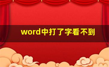 word中打了字看不到