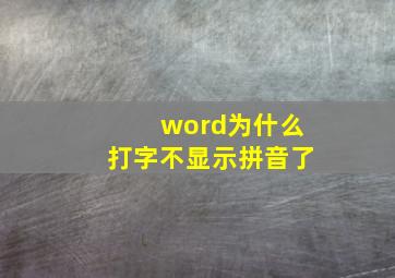 word为什么打字不显示拼音了