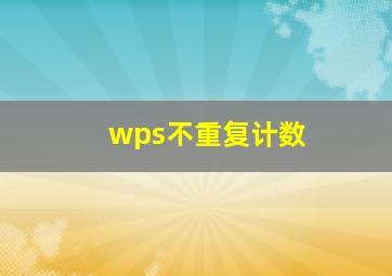 wps不重复计数