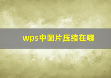 wps中图片压缩在哪