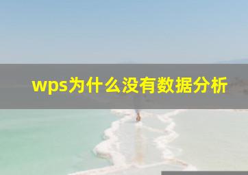 wps为什么没有数据分析